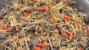 Paket Catering Prasmanan Palu — RM Darisa 1